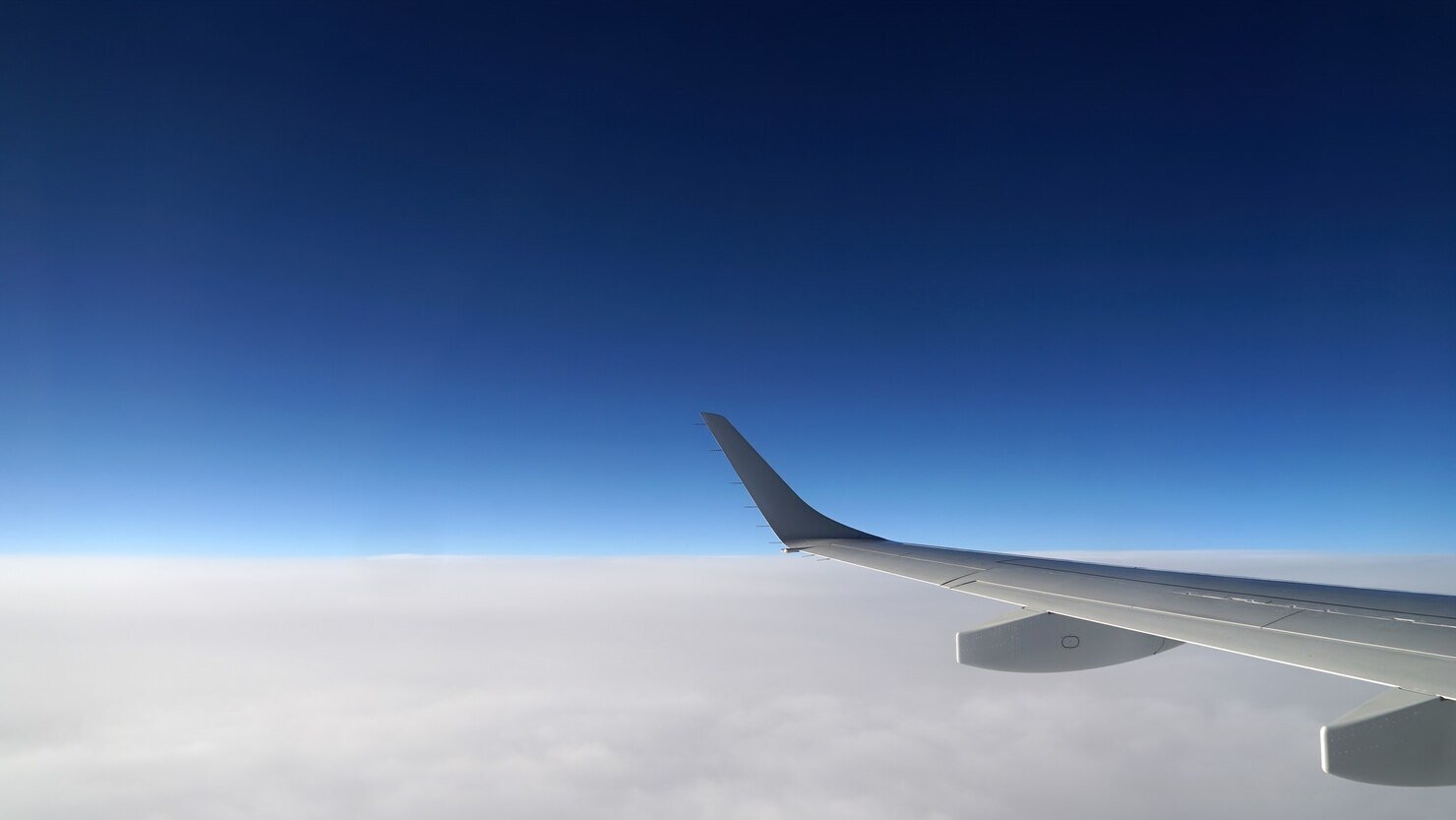 Plane wing